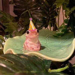 Meet your Posher, Kay